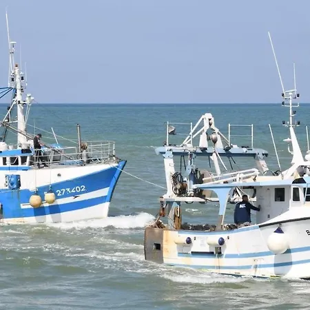 Chene Perce Au Rdc 51 M2