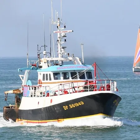 Chene Perce Au Rdc 51 M2 *