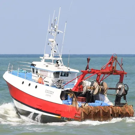 Chene Perce Au Rdc 51 M2 Dieppe